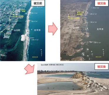 5章 住まいとまちの復興 6節 海岸(防潮堤等)・河川