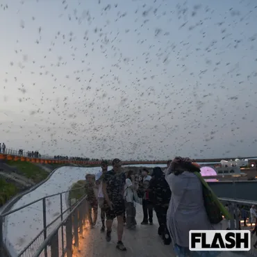 空が黒く染まった!】大阪万博 ユスリカ大量発生を徹底検証…根本原因は鳥が消えた゛環境破壊゛3年前の警告が現実に(SmartFLASH)