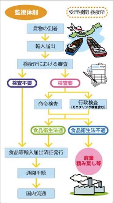日本政府の取り組み:輸入時のチェック