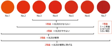 特集2 牛肉(1)：農林水産省