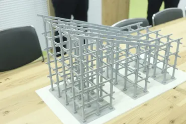 大屋根リング、ユスリカ、保存問題…2025年大阪・関西万博の課題と未来への展望は？大阪・関西万博、大屋根リングの建設、ユスリカ問題、保存計画…その現状と未来