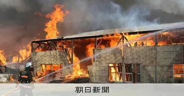 今治山林火災：2025年の記録（被害状況と防災対策、教訓を活かして？)2025年、愛媛県今治市を襲った山林火災の記録