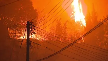 岡山県で起きた過去最大級の山火事の全貌とは？2024年3月23日の飽浦山火事とは？焼失面積565ha、避難指示893人：岡山県南区飽浦の山火事