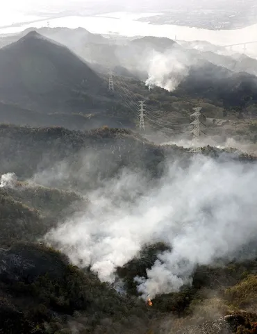岡山・山林火災４日目】焼失 県内過去最大５５９ヘクタール さらに拡大する可能性：山陽新聞デジタル