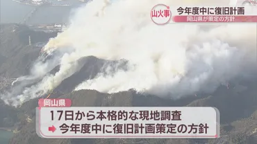岡山市の山火事 県が2025年度中に復旧計画を策定へ 燃えにくい木を植えるなど想定 