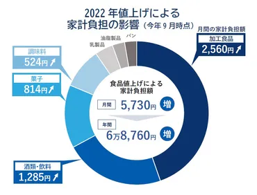 食卓を揺るがす！米価格高騰の真相と、私たちができることとは？2024年、米の値段はどれだけ上がった？家計への影響と消費者の選択