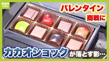 バレンタインデーに異変？】カカオ高騰でチョコ値上がり...救世主は「プレミアム準チョコ」！？カカオを減らしてチョコを作る゛技術力゛に注目【カカオショック】  