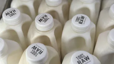MIT Tech Review: 米国の乳牛に鳥インフル蔓延、ヒトへの感染にも警戒を