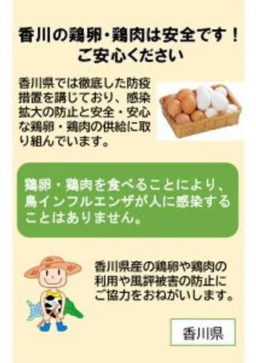 卵や鶏肉は安全！ 鳥インフルの風評被害防ごう 