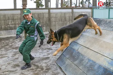 生存者を救うため国内外の災害現場で活躍！警視庁 警備犬 
