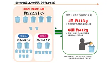 食品ロス削減、子供の食育って何？未来のために私たちができることとは？食品ロス削減への挑戦と未来への展望