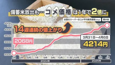米不足と備蓄米の行方：食卓を守るため、私たちができることとは？高騰する米価格、政府備蓄米の現状と未来予測