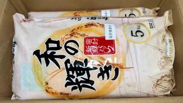 政府備蓄米どこで買える？いつ？ネット通販、ファミマ、ローソン、セブンイレブン、楽天、Amazon、アイリスオーヤマ、Yahooショッピング、イオン、ドン・キホーテ、コストコ  古古米 