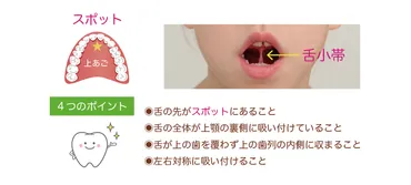 MFT（口腔筋機能療法）ってなに？