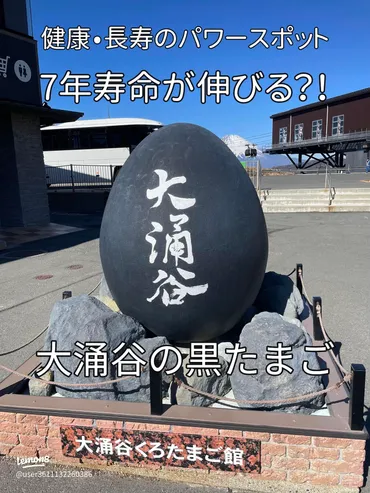 箱根の黒たまごで寿命が延びる？大涌谷の魅力を徹底解説！箱根旅行の必須アイテム！黒たまごの秘密と楽しみ方