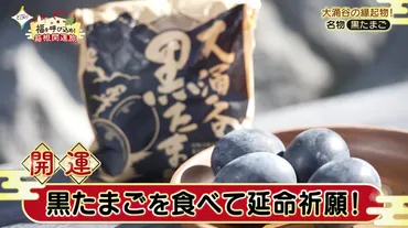 大涌谷】大地のエネルギーが体感できるパワースポット!名物の黒たまご他゛黒グルメ゛も堪能!/神奈川県箱根町