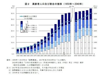 2025年問題の衝撃：業界を越えた対応戦略と企業の先行き対策 