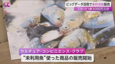 未利用魚゛を食卓へ…Tカード1.3億人ビッグデータ利用で商品開発と販売促進 魚廃棄減少が漁業活性化の近道にも