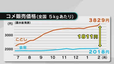備蓄米の放出 価格は下がる？農家「一時的なものになるのでは」購入は早くて3月下旬 大分 