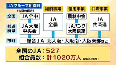 コメ価格のカギ握るＪＡは ゛強すぎる゛ ？備蓄米の９割以上を落札した巨大組織は自民党と深いつながり 『減反政策支持がコメ高騰 の一因』と専門家は指摘【解説】（MBS特集）