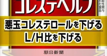 小林製薬 株主代表訴訟とは？ 企業ガバナンスへの影響は？オアシス・マネジメントによる小林製薬株主代表訴訟の詳細