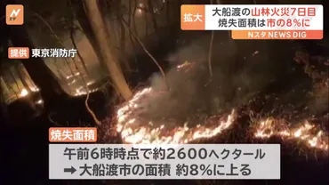 岩手・大船渡の山林火災、その影響と防災意識向上への道のりとは？大船渡山林火災：甚大な被害と復興への願い