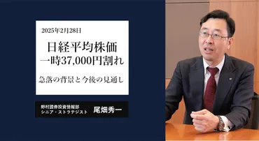 日経平均株価一時37,000円割れ 急落の背景と今後の見通し 野村證券ストラテジストが解説 