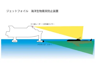 東海汽船のジェット船゛友゛のクジラ衝突事故 