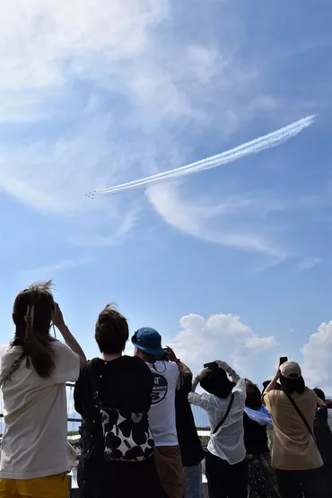 ブルーインパルス、桜の花やハート描く 万博会場上空で ファン歓声 