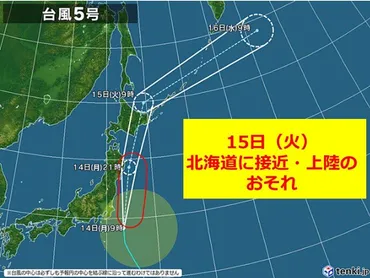 北海道を襲う台風5号と、ヒグマ出没による影響について(？)大雨、強風、ヒグマ出没による注意喚起