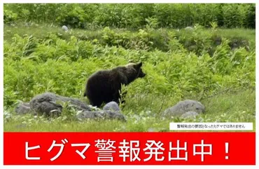1分で解説＞北海道が初の「ヒグマ警報」 福島町市街地で男性死亡