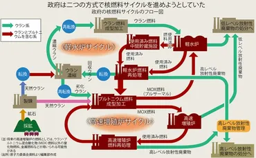電力が危ない：破綻した核燃サイクル 再処理工場はいまだ竣工せず 直接処分との併用が現実的だ＝橘川武郎 