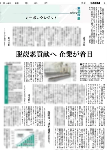 森林・林業DX×カーボンクレジットの取組みが読売新聞に掲載されました NEWS お知らせ