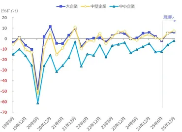 日本】2025年4~6月期法人企業景気予測調査:大企業の景況感が悪化も先行きでは改善が見込まれる
