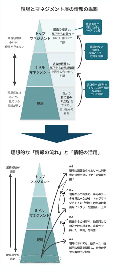 「経験・勘・度胸」は時代遅れ？データ分析とKKDの未来は？KKDとは一体！？