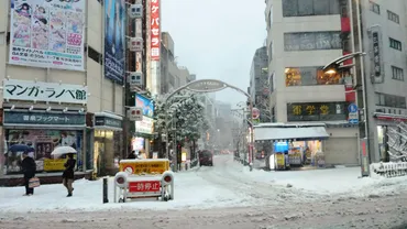 大雪への備え：記録的な豪雪から学ぶ、情報伝達と予防的措置の重要性？首都圏大雪：情報伝達、ウェザーリポーターの活躍、そして今後の備え