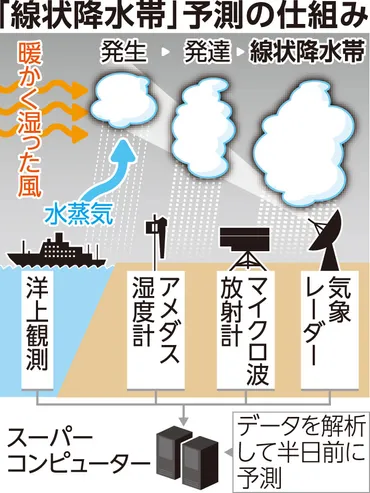 線状降水帯 予測精度が向上 