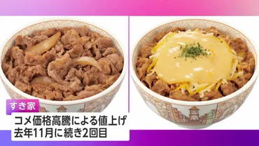 すき家】「牛丼 並盛」450円→480円・「牛丼 大盛」650円→680円 3月18日から値上げ 「カレー」は価格を据え置き
