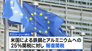 EU、アメリカへの報復関税の第一弾 15日に発動 