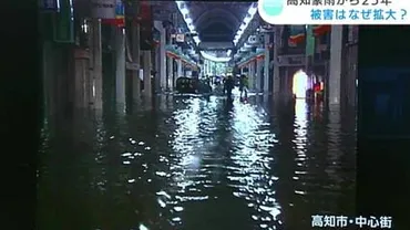 高知の防災対策：豪雨、台風、土砂災害から命を守るには？(2025年参院選情報も公開？)高知の防災：豪雨と土砂災害、台風への備え、最新気象情報、ハザードマップ活用術