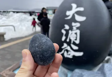 箱根旅行！大涌谷で黒たまごを食べてきました！【神奈川県】 