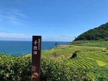 世界農業遺産「能登の里山里海」の代表的な棚田として有名な「白米千枚田(しろよねせんまいだ)」【輪島】 
