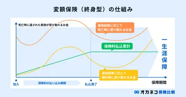 変額保険とは？ メリット・デメリット、検討するべき人の特徴を解説します 