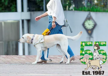 盲導犬を取り巻く現状と課題：盲導犬ユーザーを支える社会とは？（盲導犬、視覚障害者、バリアフリー？）盲導犬の受け入れ拒否、コロナ禍での困難、そして社会の理解を深めるために