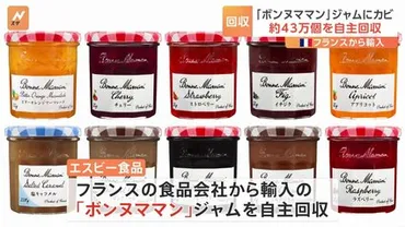 子どもの水難事故と食品回収問題、安全対策の問題点とは？水辺の危険と食品異物混入問題