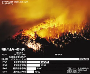 耕論）山林火災の教訓 千葉信夫さん、串田圭司さん、森章さん：朝日新聞