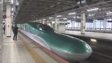 東北新幹線が熊と衝突し緊急停車 乗客・乗員にけがなし 