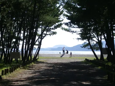 震災前と後の風景〈陸前高田市〉 