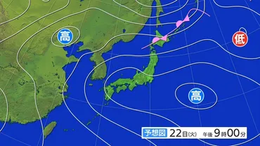 北海道も40℃に迫る記録的な暑さに】気象予報士解説 太平洋高気圧の形が「ある動物」に似てくると全国的な猛暑のサインに 熱中症に警戒を