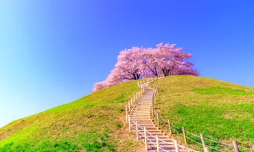 人の行く裏に道あり花の山」 天才相場師たちの教えがつまった相場格言を詠む かぶまど